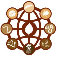 Soil BON Foodweb (@soilbon_foodweb) 's Twitter Profile Photo Soil BON Foodweb (@soilbon_foodweb) 's Twitter Profile Photo