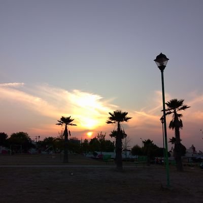 gtz_efren's profile picture. Sígueme y te sigo