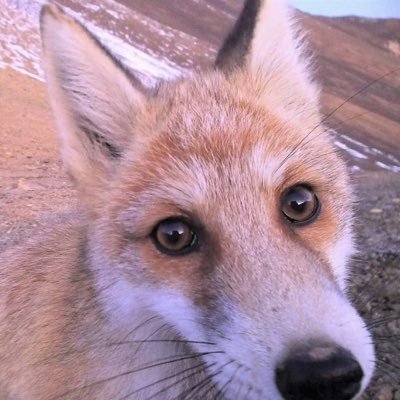 tokentaker13's profile picture. 21 | 28/02/2004