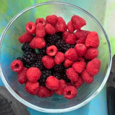 Yikes_Right's profile picture. 