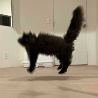 JUNE (@staycloud24) 's Twitter Profile