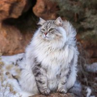 Ezgi (@fay_storyteller) Twitter profile photo