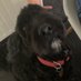 Lewis Dargan (@darganlewi63795) Twitter profile photo Lewis Dargan (@darganlewi63795) Twitter profile photo