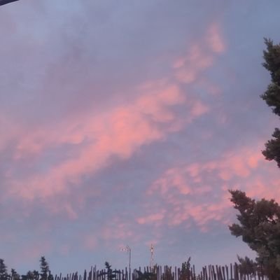 De pueblo, desde hace unos años en la jungla de las criptos. Opino sin saber nada.