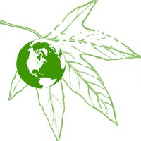 XxX bokep🗣️ (@greenclaremont) 's Twitter Profile