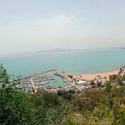 امين محاسب في شركة