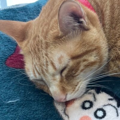 shenqizongsila1's profile picture. 