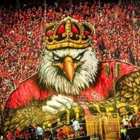 Alaa Elaraby (@alaaelaraby80) 's Twitter Profile Photo