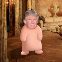 $trumpie (@trumpiesol) 's Twitter Profile Photo