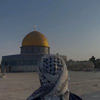 جَنّة🐢 (@gannaelgaidy) Twitter profile photo