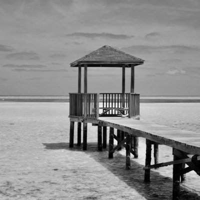 cook_163's profile picture. grumpy former Marine lol