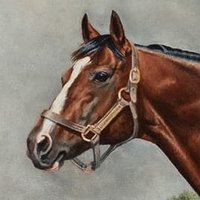 🇨🇦Michelle Park🇧🇧 (@19equis) 's Twitter Profile Photo 🇨🇦Michelle Park🇧🇧 (@19equis) 's Twitter Profile Photo