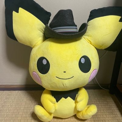 Tsukka_CogSci's profile picture. Ph.D. student in (Computational) Cognitive Science/The University of Tokyo/認知科学若手の会 代表