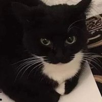 John (@johndukesman90) 's Twitter Profile