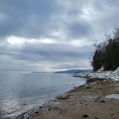 Hugo37298's profile picture. Shaketag: @hugotrem