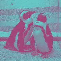 会い(あい) (@spaidaa107) 's Twitter Profile