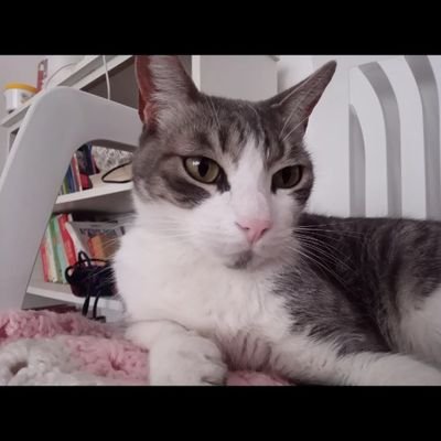 Militante peronista, ❤️
Amo a los gatos 🤩
La patria se defiende ! Resistiendo , luchando!