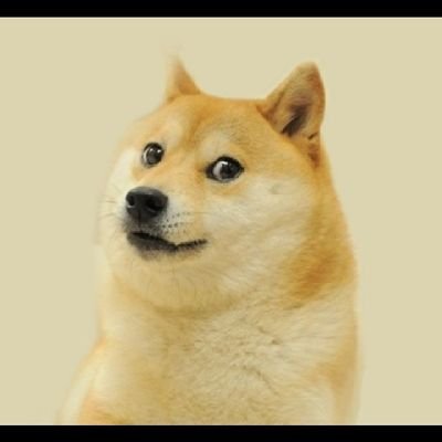 jillo114's profile picture. btc meme ai 
Spacecoin Cadet 🛰️
