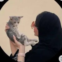 فـطـوم ꨄ (@ftmt773) 's Twitter Profile