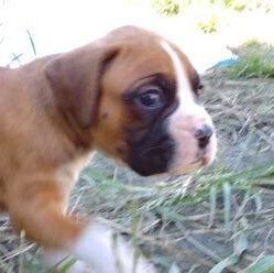 dhHSFFZzOCEOZqh's profile picture. 長期保有は高配当個別株が中心。先物は大きく張らない✌️

NISAもiDeCoもやる。ジュニアNISA２人分、片方はS＆P500もう一方は個別株と完全分離してた結果、個別の勝ち🙌新NISAも順調に育ってる。Ｘは主にデイトレ のメモ。 #株 #投資 #NISA