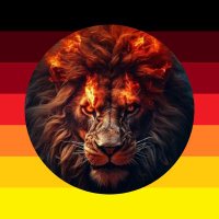 Privacy Lord 🇩🇪✌🏻(@privacylord) 's Twitter Profile Photo