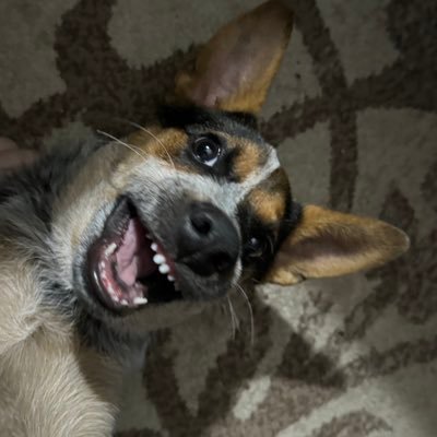 creatingchaos56's profile picture. 