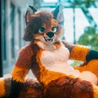 Foxycfreezy (@foxycfreezy) 's Twitter Profile Photo