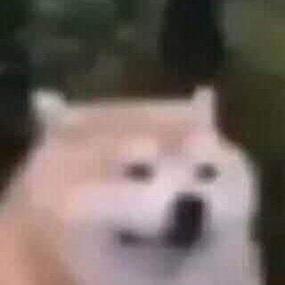 ruiiwo2's profile picture. she/her · Spa/Eng/Deu · intj · Here I'll post my own characters and personal art.  Main account: @ruiiwo_