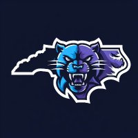 PanthersX2 (@panthers_x2) 's Twitter Profile