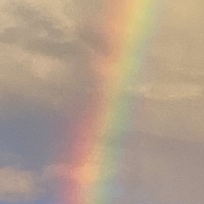 CCgoiania's profile picture. , Goiânia