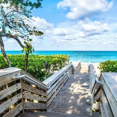 MeragerSandy's profile picture. Worst Case Bullying Harasment Florida, CA & Arizona Currupt Law EnforcemetTells
Restaurants poison my food drinks every city gangstalk public spray poison on me