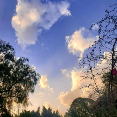 0H1z3m's profile picture. 