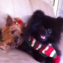 Cleta walker - @Acadwalker - Twitter