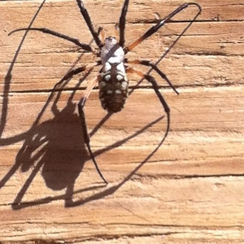 beckiejeanne79's profile picture. 