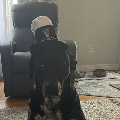 queenmare1's profile picture. 