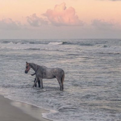 m5eed's profile picture. هادئه.