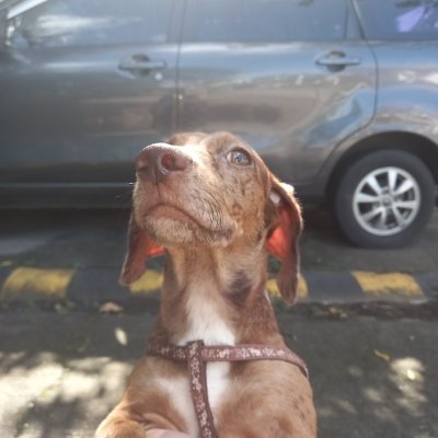 Baaaaatch's profile picture. Funny how sometimes you just find things