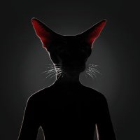 ClimateCats (@climatecatsio) 's Twitter Profile Photo ClimateCats (@climatecatsio) 's Twitter Profile Photo
