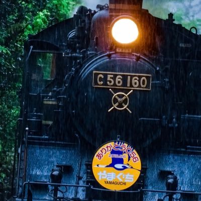 sbkn51's profile picture. 