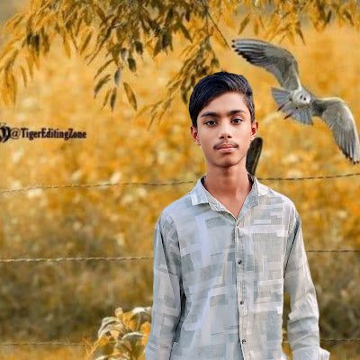 MdPapon351477's profile picture. 