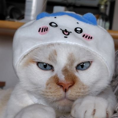 JBgqjaTUsC44716's profile picture. 