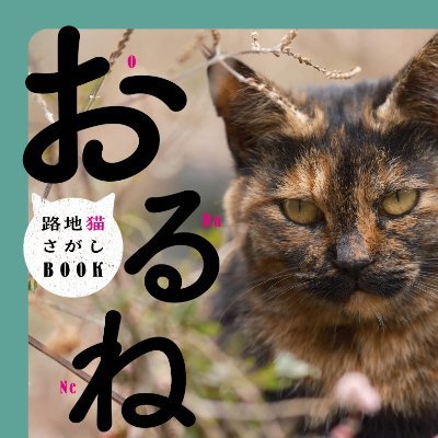 【2024年6月21日発売】写真家・小林哲朗さん@kobateck
の猫写真集『おるね』の特設アカウントです。みなさんの「#おるね」な猫写真を紹介していきます。(運営・亜紀書房@akishobo)