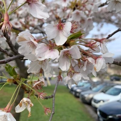 ImmigrateI46446's profile picture. 