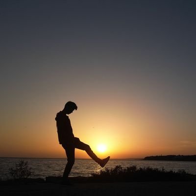poisonousparrot's profile picture. welcome to oblomovka
ve sapere aude