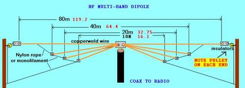 pololo900's profile picture. 