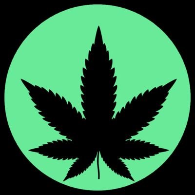 runtzcannatv's profile picture. Best Cannabis Dispensary
We do Delivery at your Doorstep