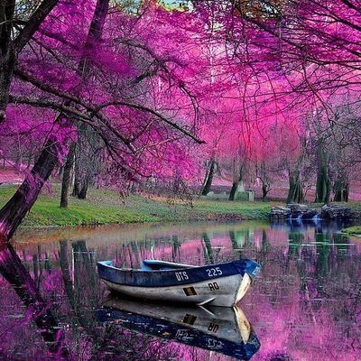 nazirulhaq123's profile picture. 