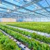 LED Grow Light (@cathy_rohe) Twitter profile photo LED Grow Light (@cathy_rohe) Twitter profile photo