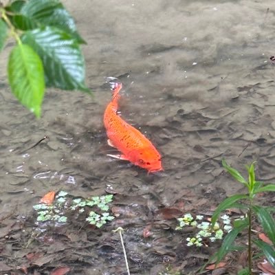 처루さんのプロフィール画像