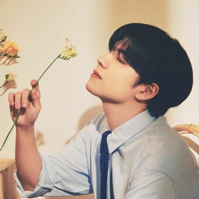 𝑊𝐴𝐴𝑁 ✿( ⁠ꈍ⁠ᴗ⁠ꈍ⁠ )✿さんのプロフィール画像